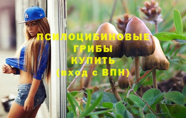 индика Вязники